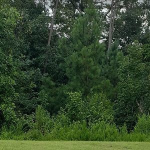 Meet your Posher, Charles